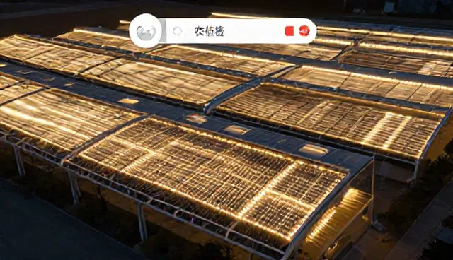 提升用户体验，优化小程序开发流程
